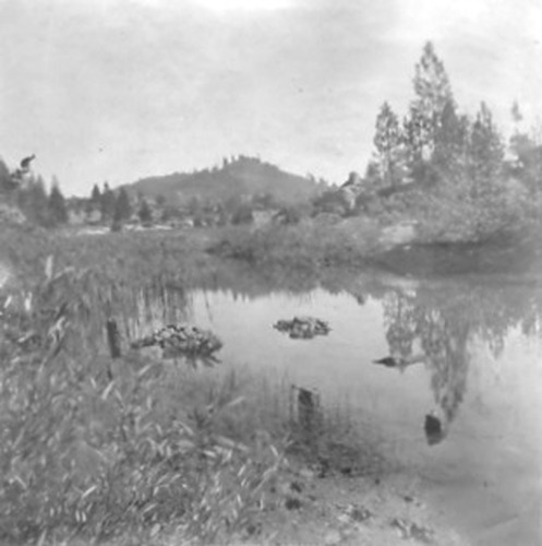 Click to see PIC 2-D 48 of Miscellaneous Photos (PIC 2-D)