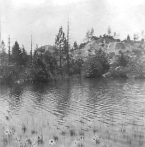 Click to see PIC 2-D 49 of Miscellaneous Photos (PIC 2-D)
