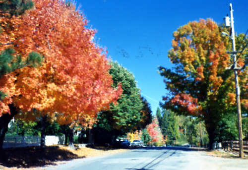 Click to see PIC 2-D 54 of Miscellaneous Photos (PIC 2-D)