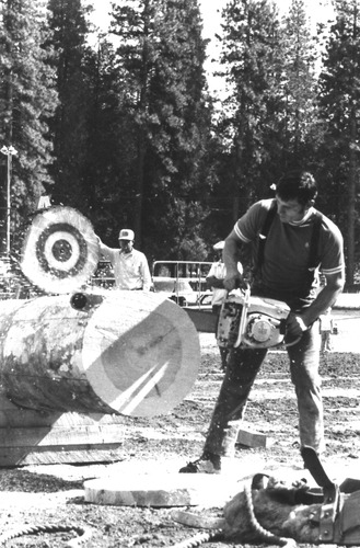 Click to see PIC 2-D 81 of Miscellaneous Photos (PIC 2-D)