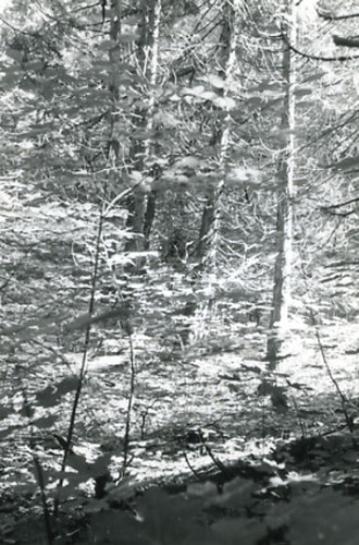 Click to see PIC 2-D 82-1 of Miscellaneous Photos (PIC 2-D)