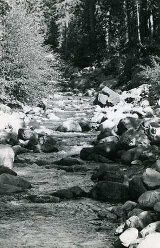 Click to see PIC 2-D 82-2 of Miscellaneous Photos (PIC 2-D)