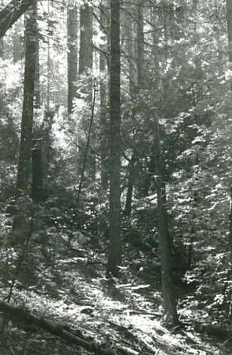 Click to see PIC 2-D 82-4 of Miscellaneous Photos (PIC 2-D)