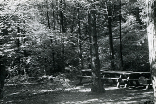Click to see PIC 2-D 82-5 of Miscellaneous Photos (PIC 2-D)