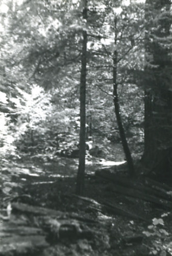 Click to see PIC 2-D 82-6 of Miscellaneous Photos (PIC 2-D)