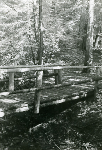 Click to see PIC 2-D 82-7 of Miscellaneous Photos (PIC 2-D)