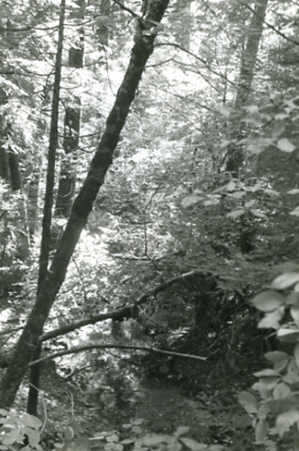 Click to see PIC 2-D 82-8 of Miscellaneous Photos (PIC 2-D)