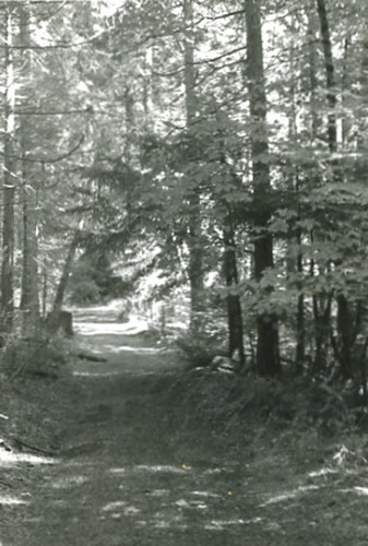 Click to see PIC 2-D 82-9 of Miscellaneous Photos (PIC 2-D)