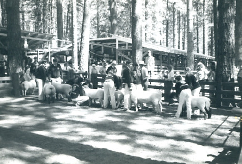 Click to see PIC 2-D 83-2 of Miscellaneous Photos (PIC 2-D)