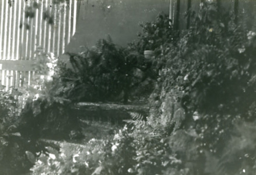 Click to see PIC 2-D 83-4 of Miscellaneous Photos (PIC 2-D)