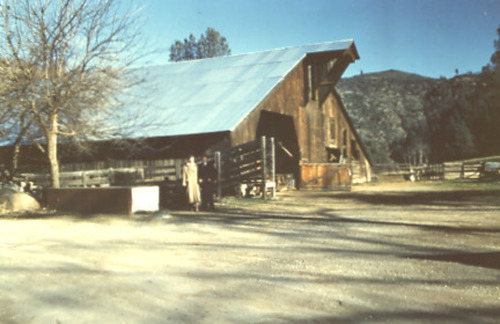 Click to see PIC 2-D 130-9 of Miscellaneous Photos (PIC 2-D)