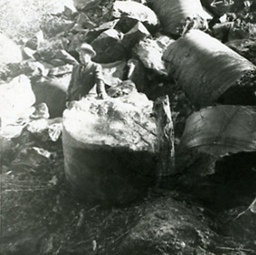 Click to see PIC 2-E 163 of Miscellaneous Photos (PIC 2-E)