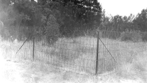 Click to see PIC 3-CEM-12 of Cemeteries (PIC 3-CEM)