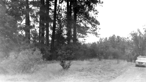 Click to see PIC 3-CEM 15 of Cemeteries (PIC 3-CEM)