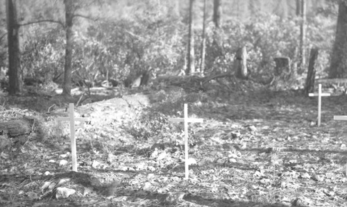 Click to see PIC 3-CEM 45 of Cemeteries (PIC 3-CEM)