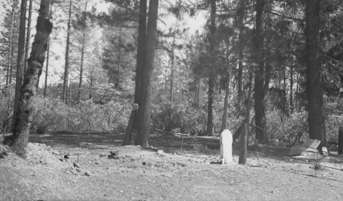 Click to see PIC 3-CEM 50 of Cemeteries (PIC 3-CEM)