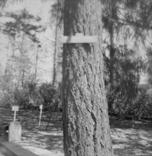 Click to see PIC 3-CEM 52 of Cemeteries (PIC 3-CEM)