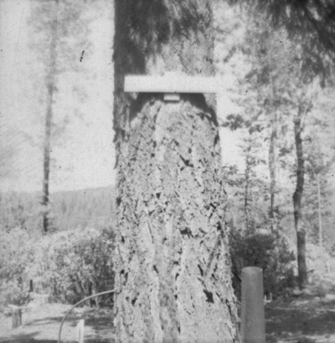 Click to see PIC 3-CEM 55 of Cemeteries (PIC 3-CEM)