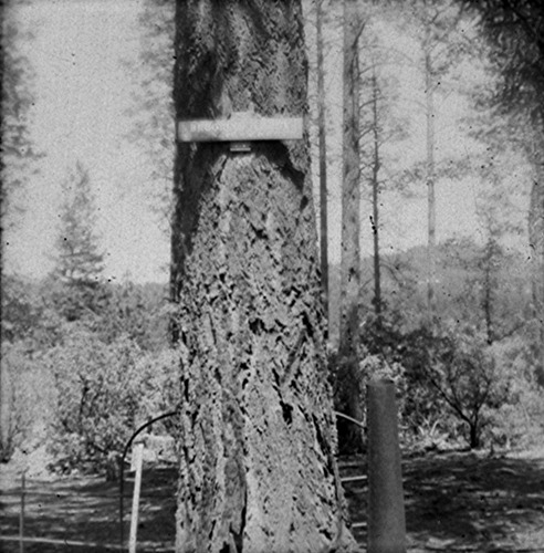 Click to see PIC 3-CEM 74 of Cemeteries (PIC 3-CEM)