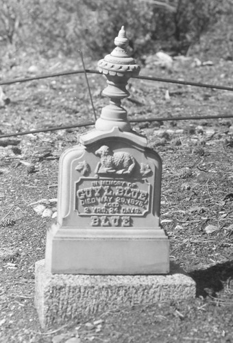 Click to see PIC 3-CEM 102 of Cemeteries (PIC 3-CEM)