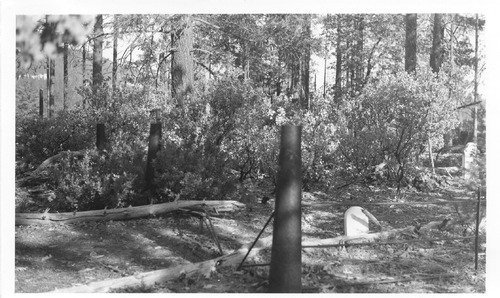 Click to see PIC 3-CEM 143 of Cemeteries (PIC 3-CEM)