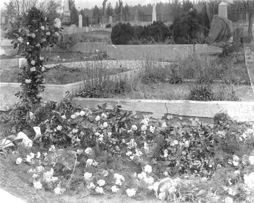 Click to see PIC 3-CEM 149 of Cemeteries (PIC 3-CEM)