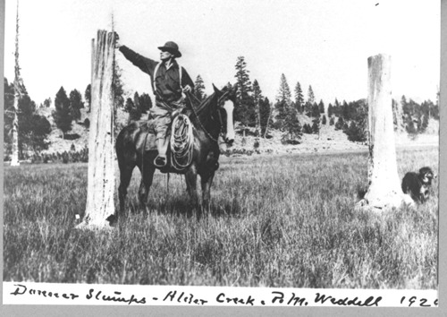 Click to see PIC 3-DON 54 of Tahoe Donner (PIC 3-DON)