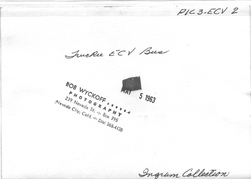 Back of Photo