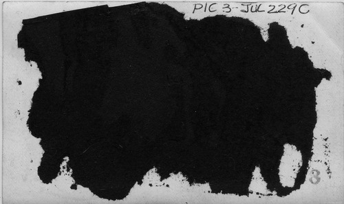 Click to see PIC 3-JUL 229C-BACK of 4th July (PIC 3-JUL)