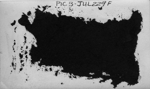 Click to see PIC 3-JUL 229F-BACK of 4th July (PIC 3-JUL)