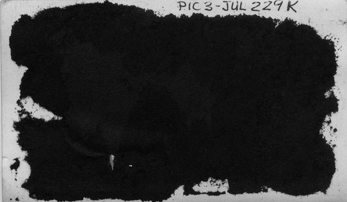 Click to see PIC 3-JUL 229K-BACK of 4th July (PIC 3-JUL)