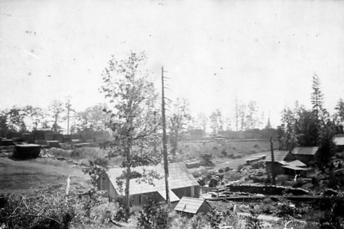 Click to see PIC 3-LU 3 of Lumber (PIC 3-LU)
