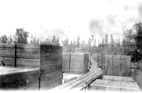 Click to see PIC 3-LU 4 of Lumber (PIC 3-LU)