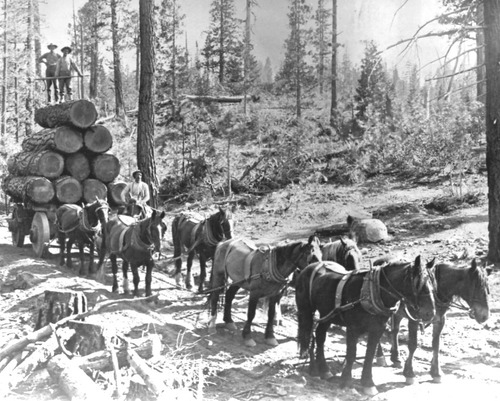 Click to see PIC 3-LU 6-A of Lumber (PIC 3-LU)