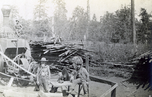 Click to see PIC 3-LU 8 of Lumber (PIC 3-LU)