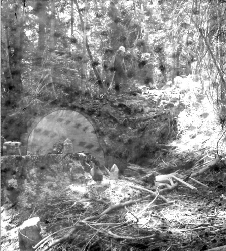 Click to see PIC 3-LU 10 of Lumber (PIC 3-LU)