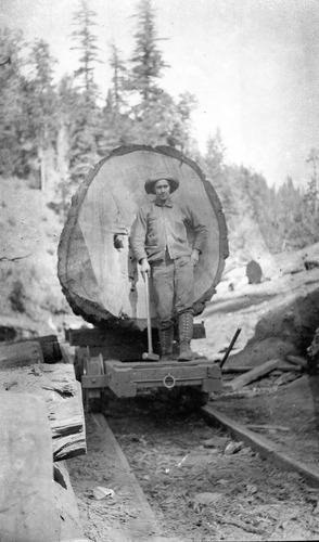 Click to see PIC 3-LU 16-B of Lumber (PIC 3-LU)
