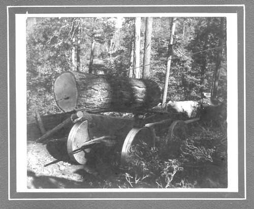 Click to see PIC 3-LU 20 of Lumber (PIC 3-LU)