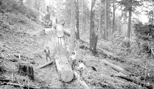 Click to see PIC 3-LU 35 of Lumber (PIC 3-LU)