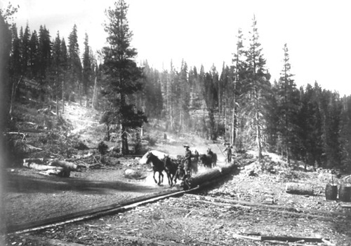 Click to see PIC 3-LU 40 of Lumber (PIC 3-LU)