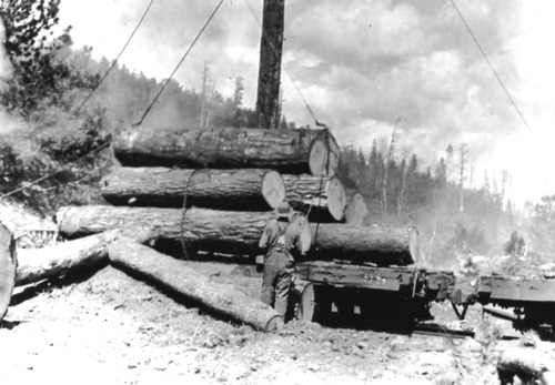 Click to see PIC 3-LU 43 of Lumber (PIC 3-LU)