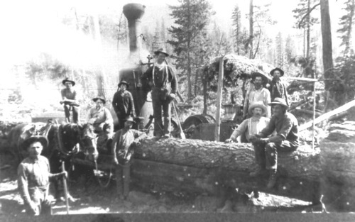 Click to see PIC 3-LU 44 of Lumber (PIC 3-LU)
