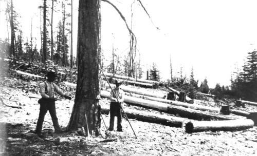 Click to see PIC 3-LU 45 of Lumber (PIC 3-LU)