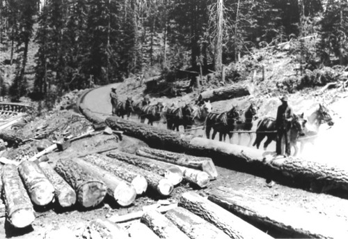 Click to see PIC 3-LU 46 of Lumber (PIC 3-LU)