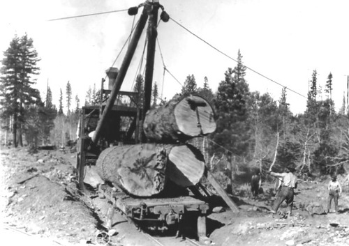 Click to see PIC 3-LU 47 of Lumber (PIC 3-LU)