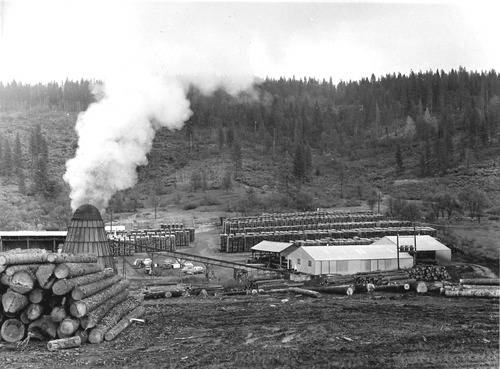 Click to see PIC 3-LU 48 of Lumber (PIC 3-LU)