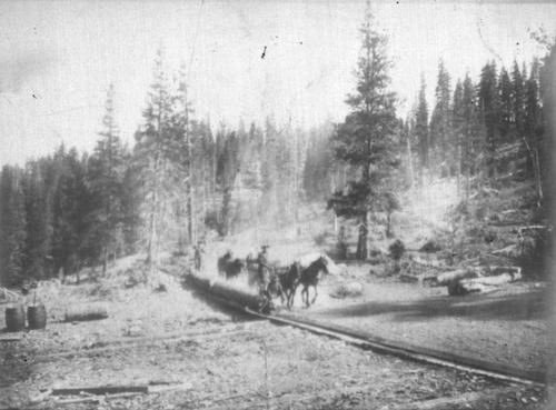 Click to see PIC 3-LU 75 of Lumber (PIC 3-LU)
