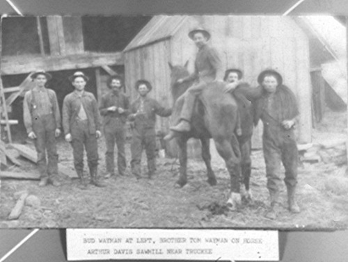 Click to see PIC 3-LU 78 of Lumber (PIC 3-LU)