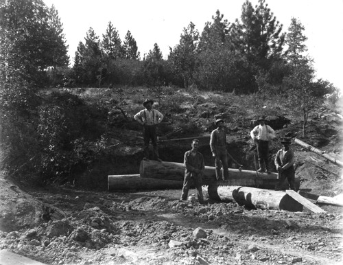 Click to see PIC 3-LU 80 of Lumber (PIC 3-LU)
