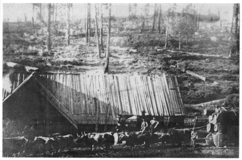 Click to see PIC 3-LU 81 of Lumber (PIC 3-LU)